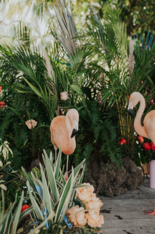 Casitas Beach Chicca Lodge Styled By Southern Bride flamingos