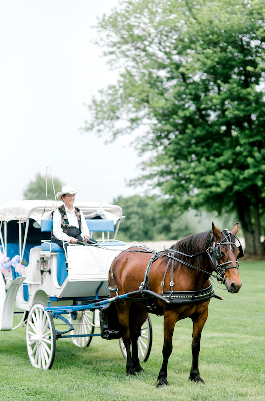 Allison Austin Carriage