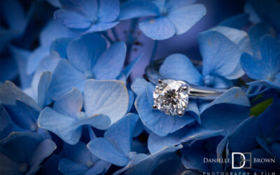 Styled SHOOTS by Southern Bride – Charleston SC – Workshop