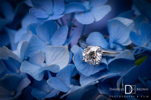 Danielle Brown Ring image
