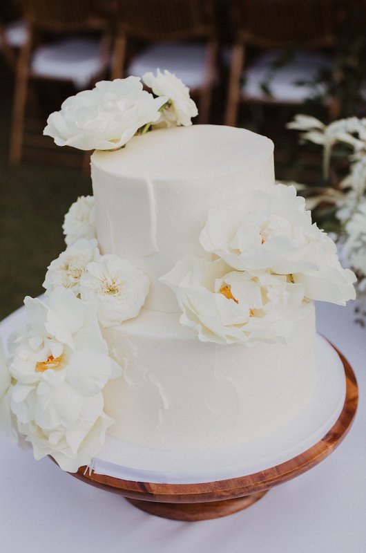 Madelyn and Alex Marry in South Carolina Cake