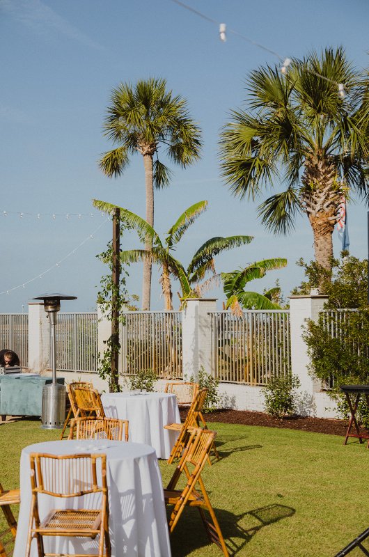 Madelyn and Alex Marry in South Carolina Chairs Madelyn and Alex Marry in South Carolina Palm Trees