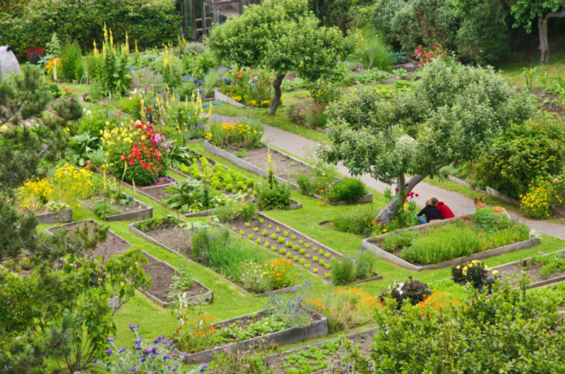 Stanford Inn By The Sea Eco Luxury Resort In Mendocino California gardens