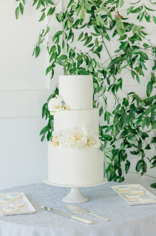 a_blooming_blue_spring_wedding_in_augusta_ga_cake