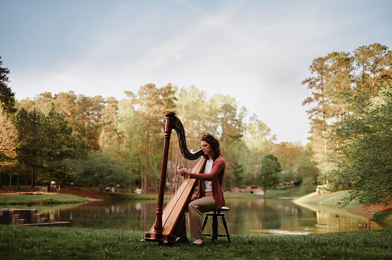 Hummingbird Harmonies: A Hip Harpist for Hire