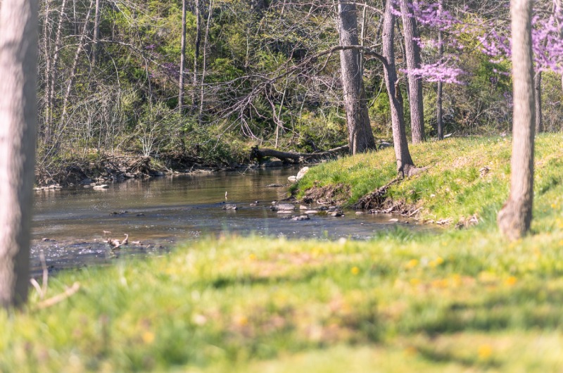 Southern Elegance Styled Shoot Lake