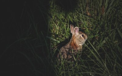 12 Spooky Reads for Halloween