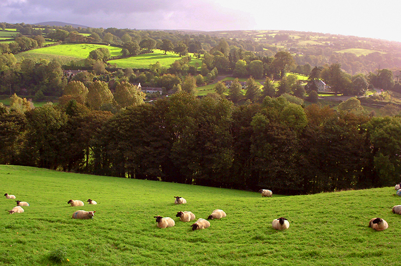 Ireland SHOOTS top pic