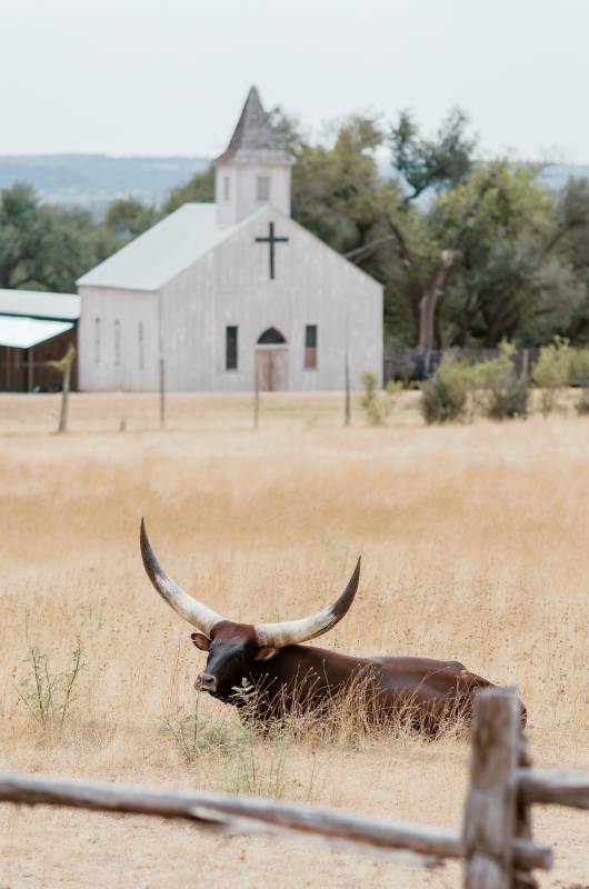 Contigo Ranch Lasting Impressions Award The Styled Challenge Fredericksburg TX Field