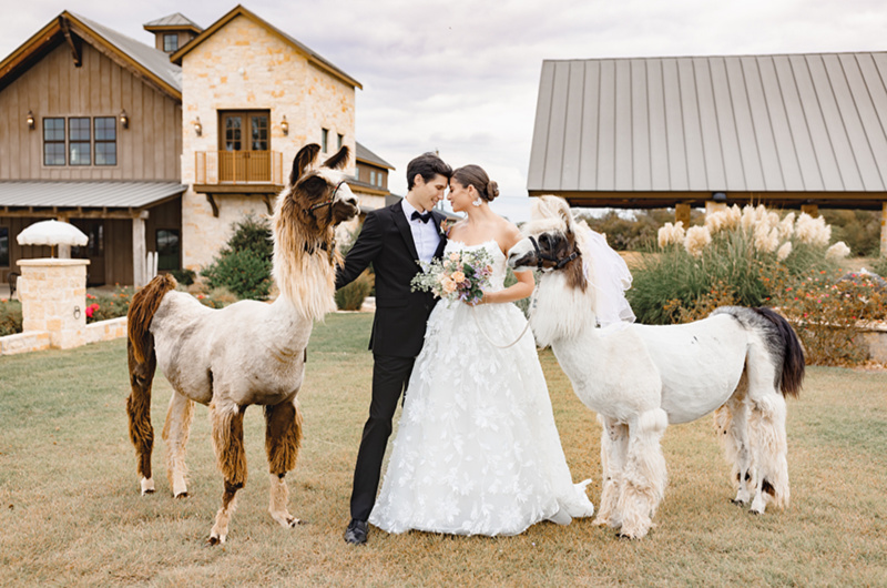La Bonne Vie Ranch Trendestter Award The Styled Challenge Fredericksburg TX couple with lamas