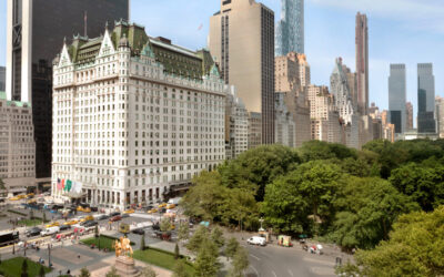 SPLENDOR ON THE PARK -The Plaza Hotel, New York, New York