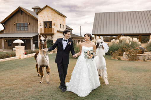 La Bonne Vie Ranch Trendsetter Award Fredericksburng TX couple walking with llamas