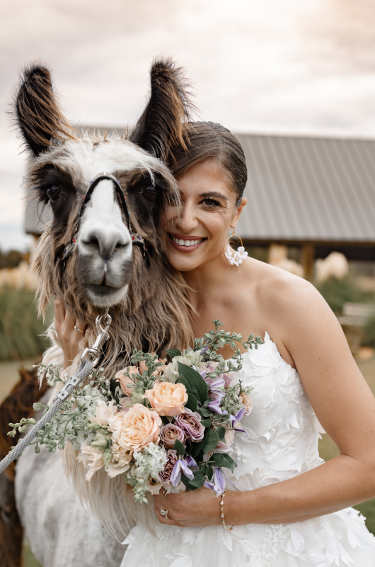 La Bonne Vie Ranch Trendsetter Award The Styled Challenge Fredericksburg TX bride with llama ()