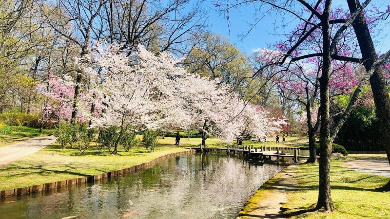 Memphis Botanic garden web feature