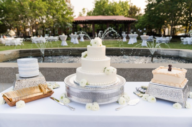 Mary Lane Harmon And Jackson Story wedding cake