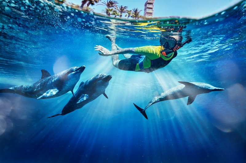 Dubai Bachelorette destination atlasvillage dolphinswim adultsnorkeling
