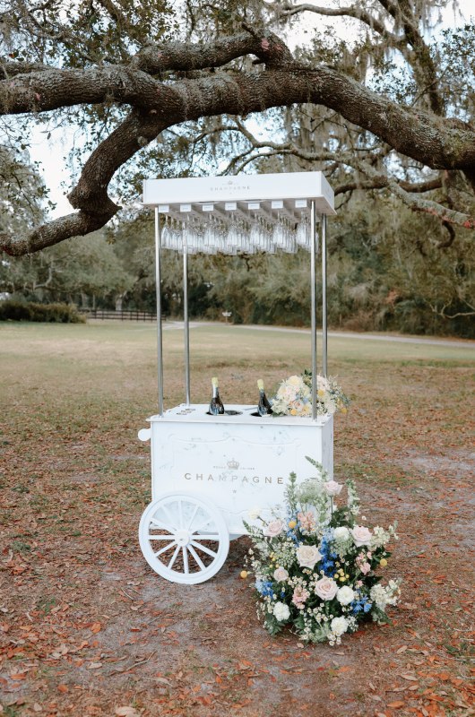 Southern Serenity Brooksville Florida bar cart