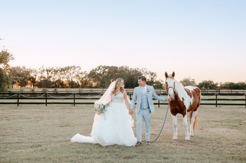 Southern Serenity Brooksville Florida on the pasture