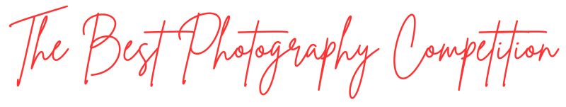 The Best Photography Competition