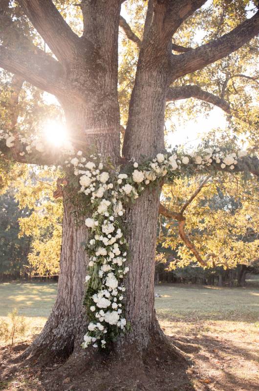 The Hicks Wedding tree The Hicks Wedding tree
