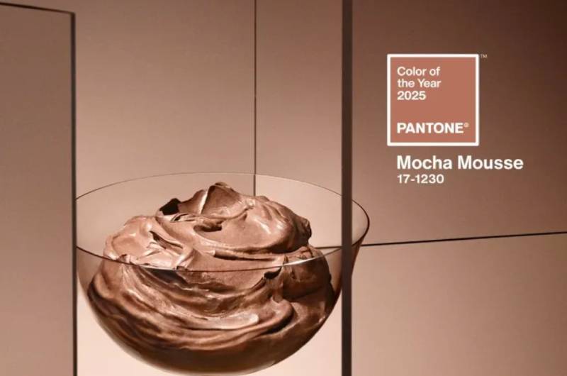 color of the year mocha mousse