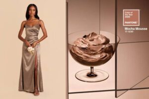colors of the year bridesmaid dresses mocha mousse cover