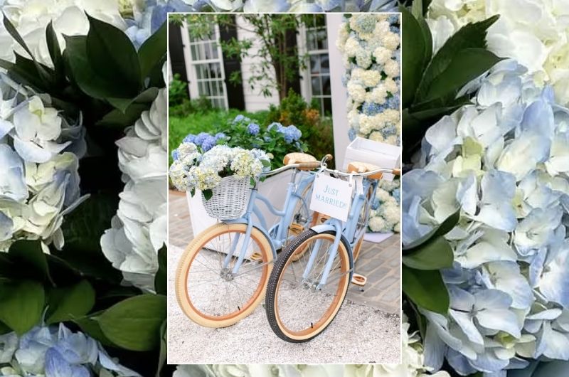 Styled Shoots Fontainebleau Design Inspo