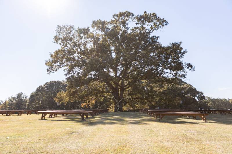 The Hicks a Rural Love Story tree ceremony