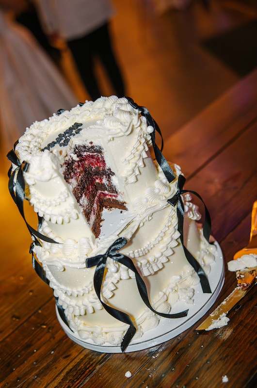 Chesney and Joshua Cake