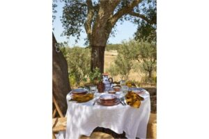Setting the Table to a Lifetime Together Costa Nova Bridal Registry cover