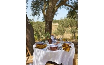 Setting the Table to a Lifetime Together—Costa Nova Bridal Registry