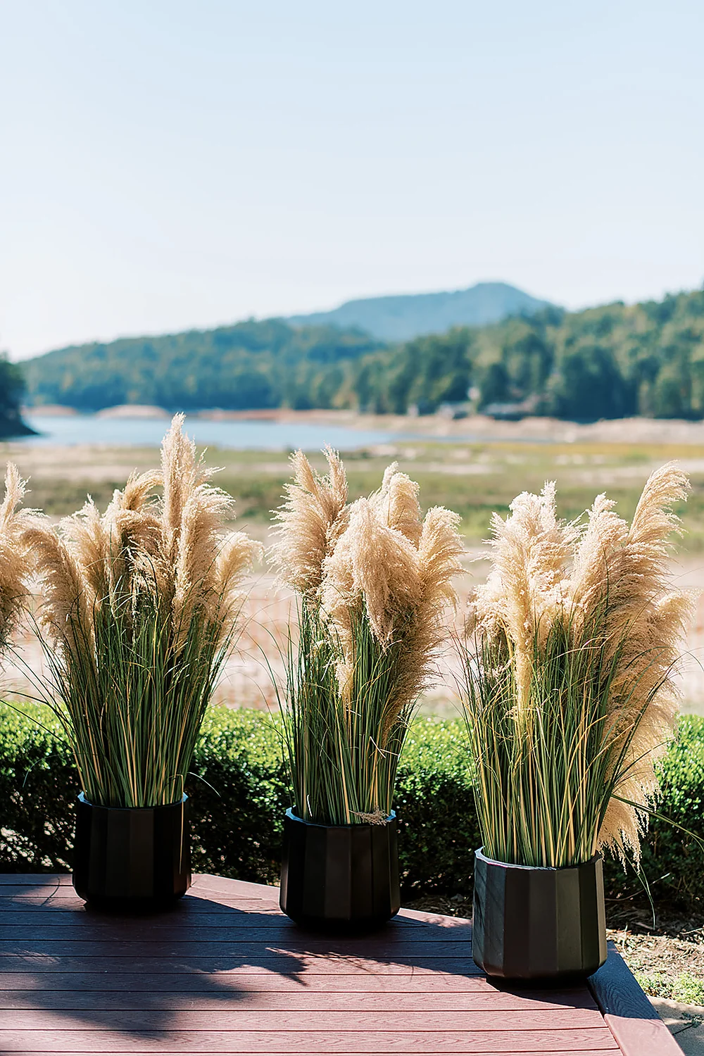 Christina Collins And Brian Gardner pampas grass lake outdoors North Carolina Meghan Rose Photography