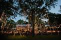 fete Nashville outdoor lights hanging from trees