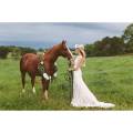 The White Magnolia bride and horse