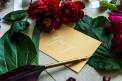 eliza gwendalyn stationary feather quill red roses