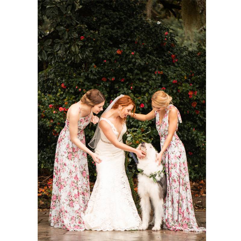 Maddison Row South Bride And Bridesmaids With Dog