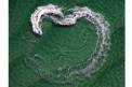 Emerald Coast Convention and Visitors Bureau water heart splash