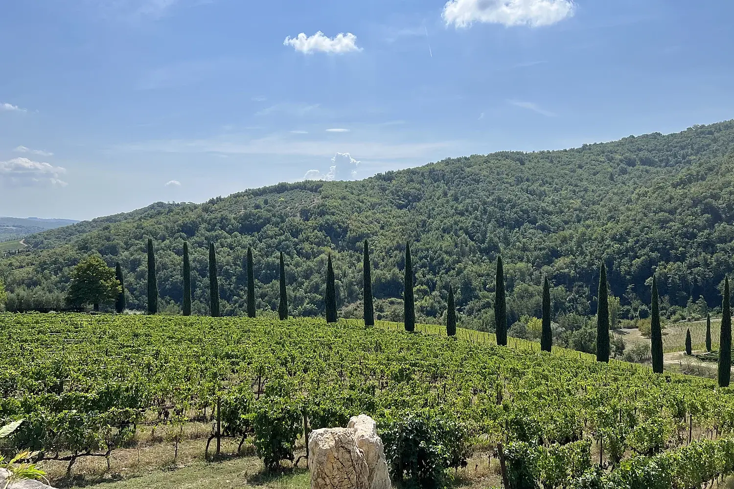 Aurelia Voyages Tuscany Italy