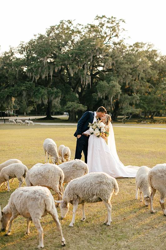 Brittany Knox And Tom Mueller Couple And Goats