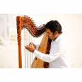 Featured Vendor Palace Resort Harp