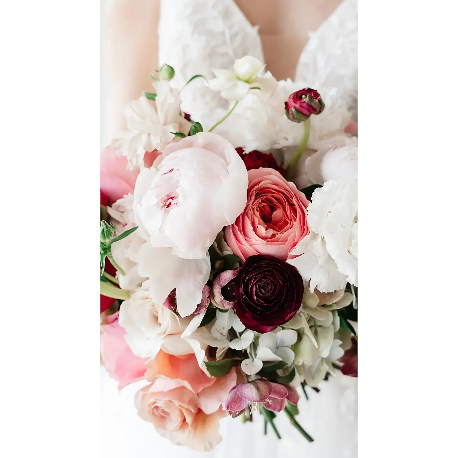 Liz Jahl Photography 9 8