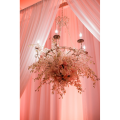 Bee's Wedding Design Lights