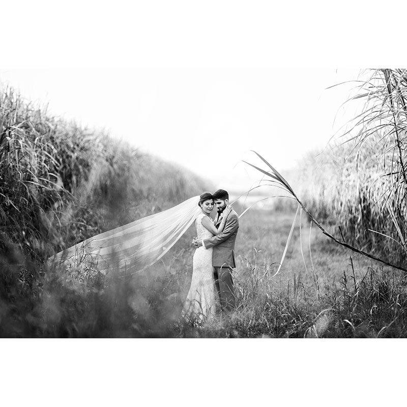 Collin Richie photography couple in field