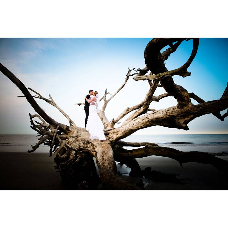 Golden Isles Georgia Couple Standing On Tree On Beach