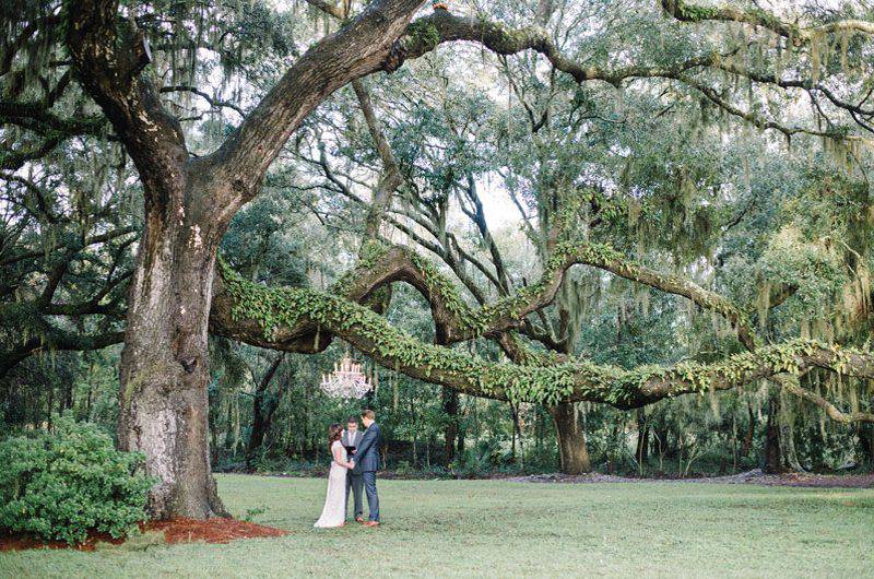 Wingate Plantation vows bride and groom by oak tree