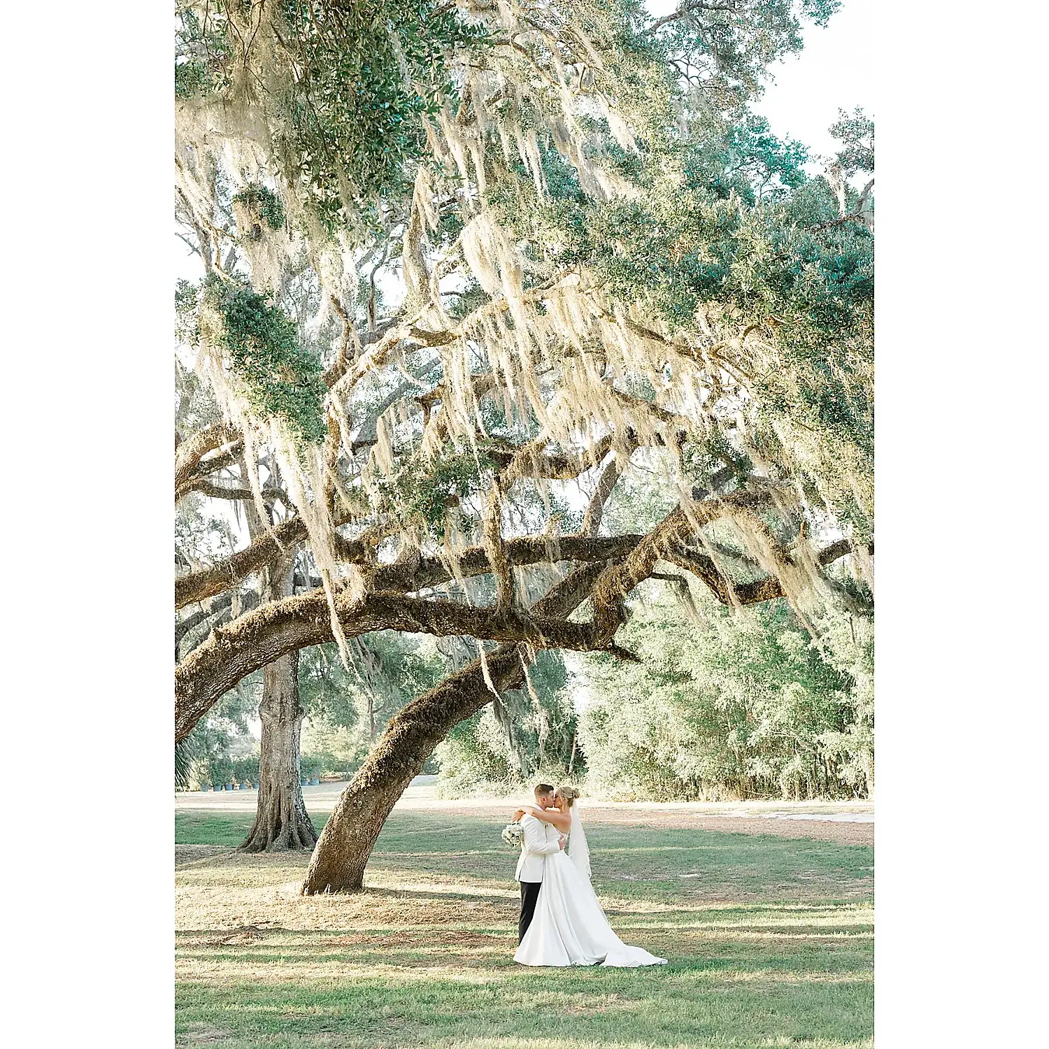 Susan Elizabeth Photography romantic spanish moss wedding couple Florida Wedding Photography