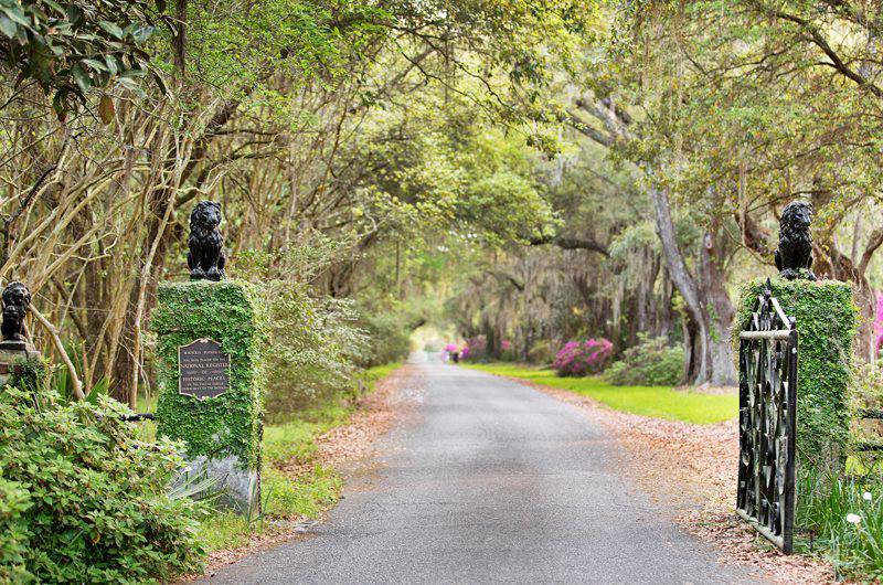 Explore Charleston Magnolia Plantation