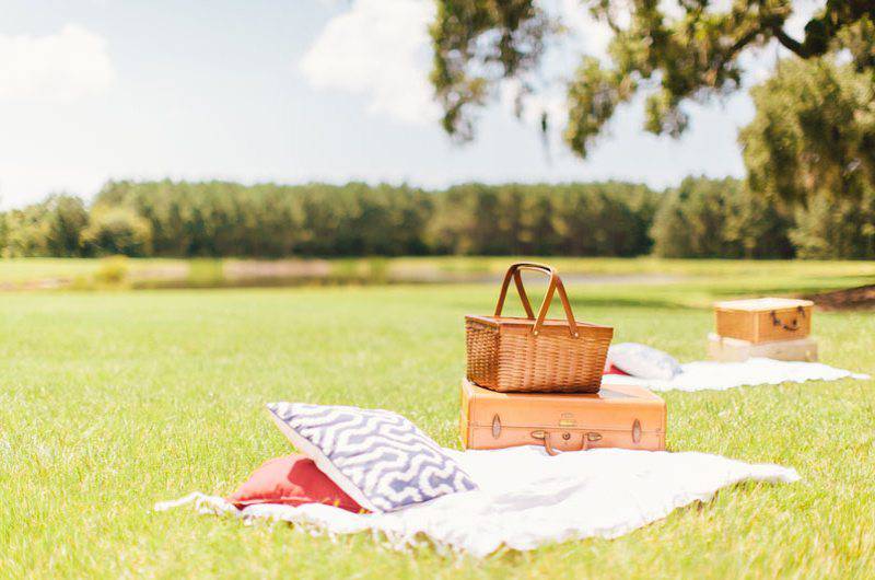 Wingate Plantation picnic in grassy field
