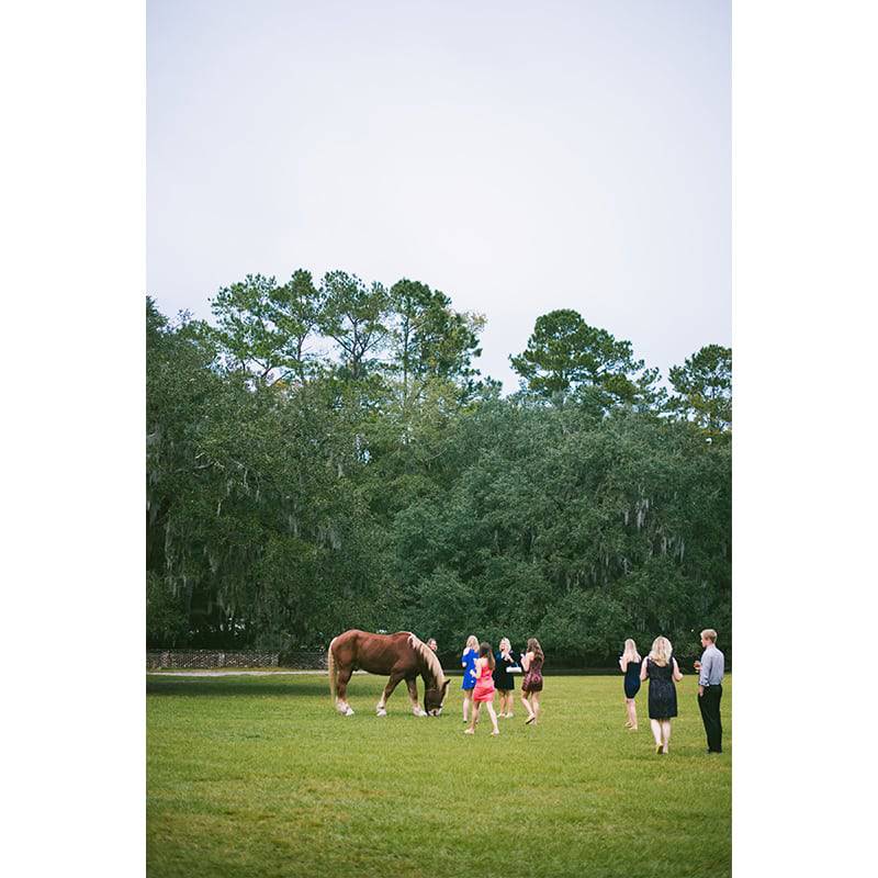 Lizzy Chris Lookbook Horses