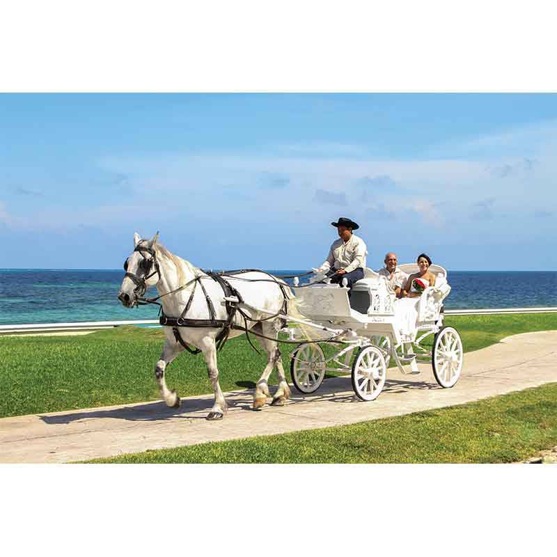Featured Vendor Palace Resort Carriage